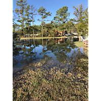 Day after the king tide Gloucester to the Northern neck image